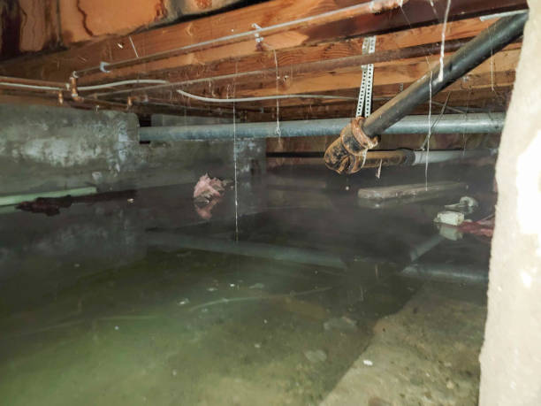 Best Water damage restoration insurance claims  in West Melbourne, FL