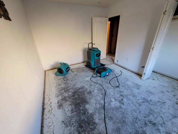 Best Water damage contractors near me  in West Melbourne, FL
