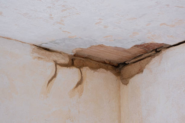 Best Residential water damage restoration  in West Melbourne, FL