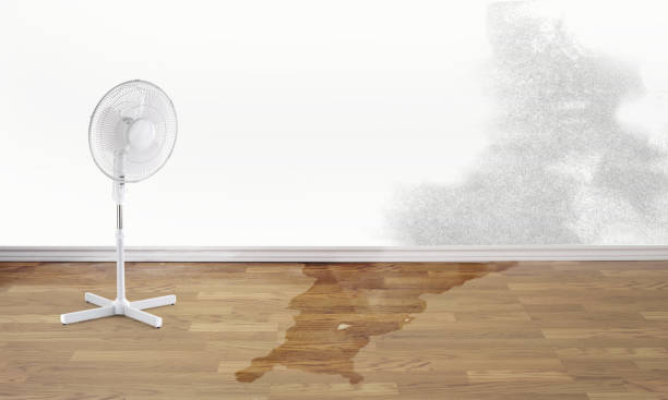 Best 24/7 water damage repair  in West Melbourne, FL