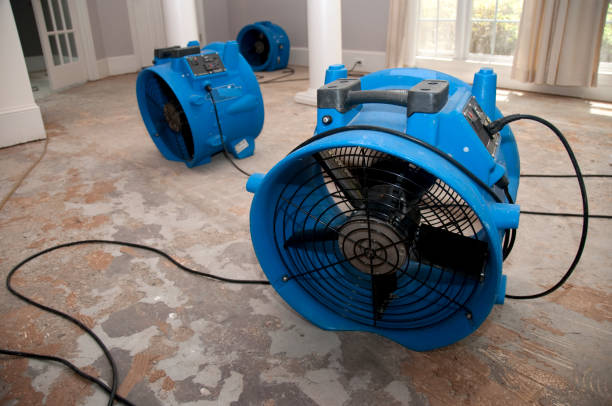 Best Basement water damage restoration  in West Melbourne, FL