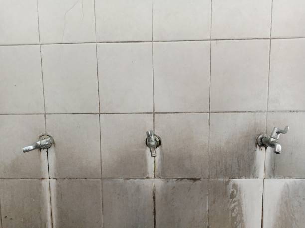 Best Fire Damage Restoration  in West Melbourne, FL