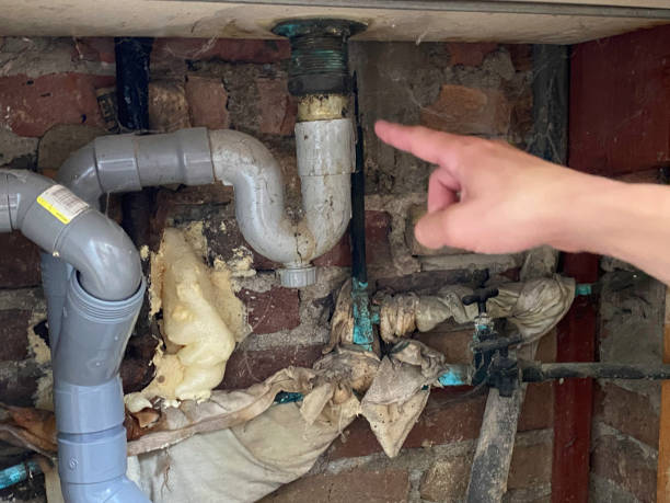 Best Local water damage restoration  in West Melbourne, FL